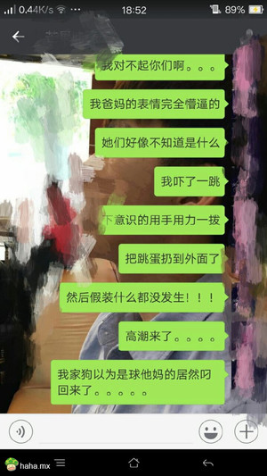 狗：主人快夸我