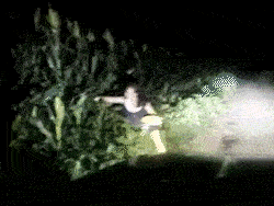 乡亲们!不好了,城里的娘们来咱们村儿偷棒子啦!