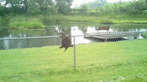 都是超级玛丽的错