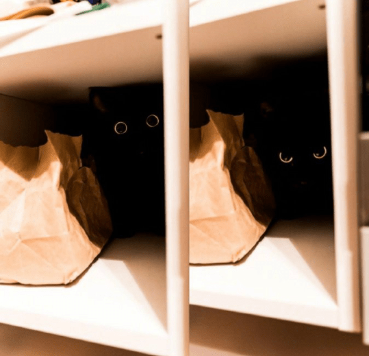 当你凝视深渊时，深渊也在凝视着你