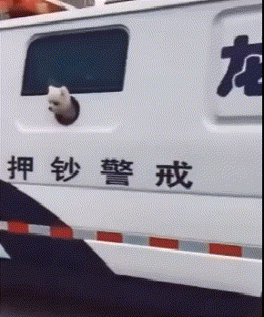 必须得观察一下四周的情况