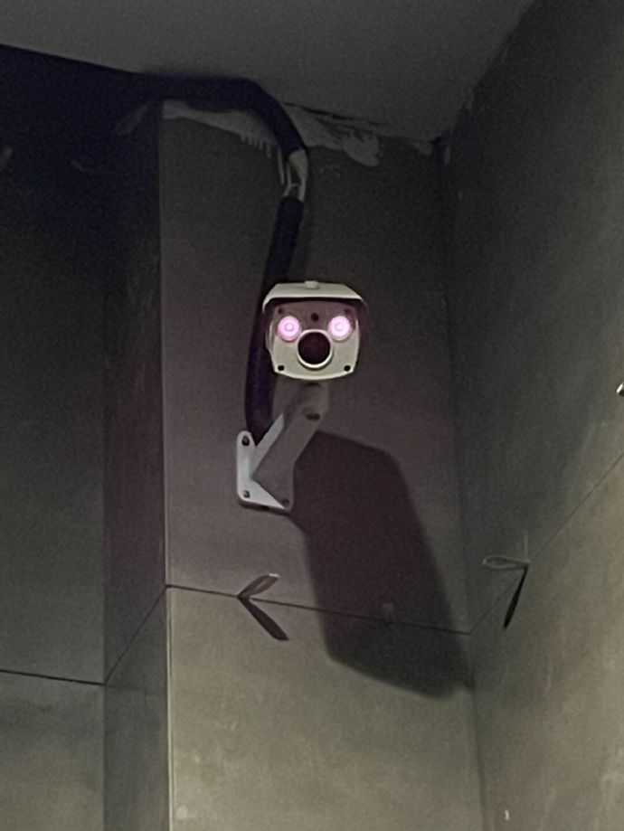 我怀疑我下一秒就要被摄像头灭口了