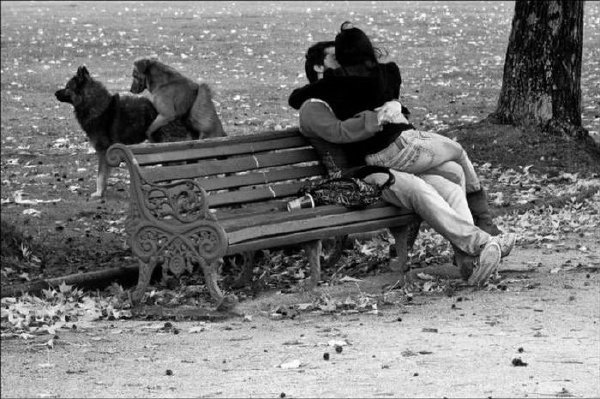 狗子自由多了,学学狗子