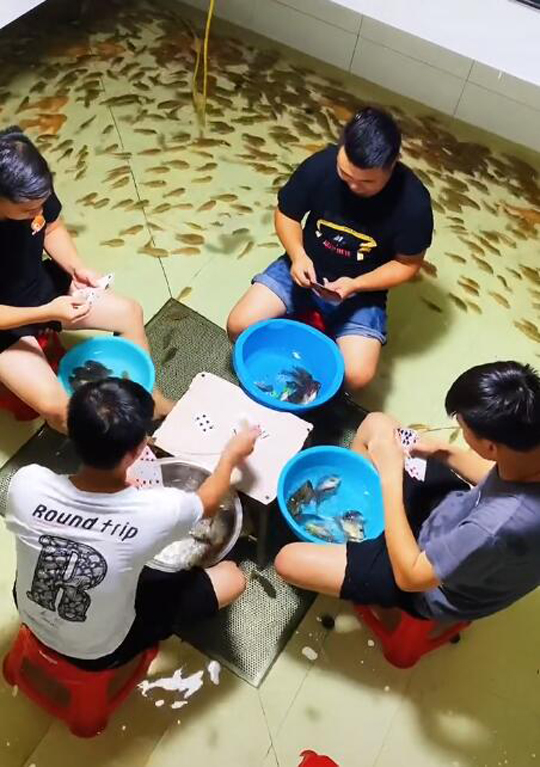 在水里面打牌脚气倒是消除了,鱼快要被快熏死了
