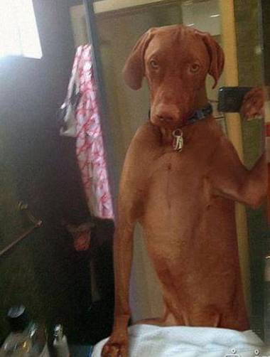 最近貌似变帅气了