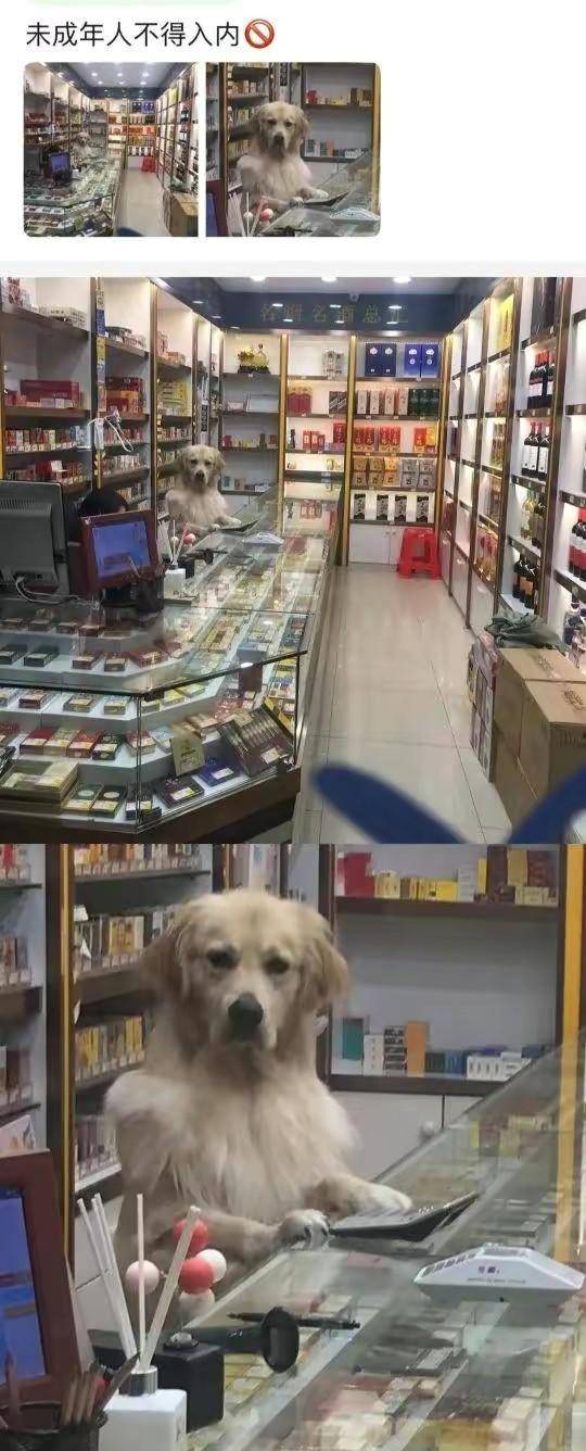 哎呀,这一定是心碎的感觉