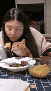 猫咪馋的口水都要流出来了，姑娘就给它吃一口吧，反正还有这么多。