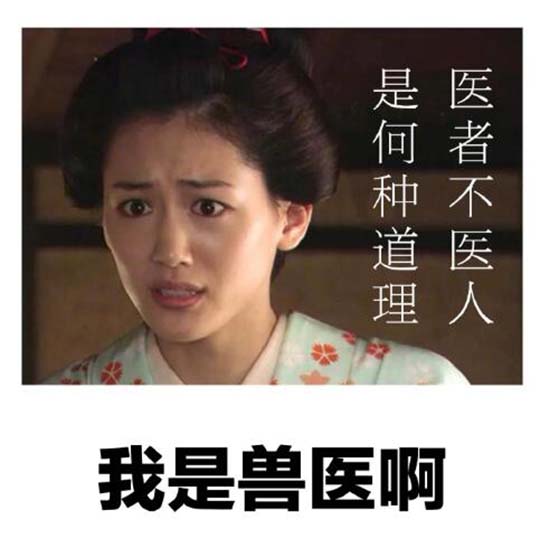 医一些禽兽不如的人还是可以的